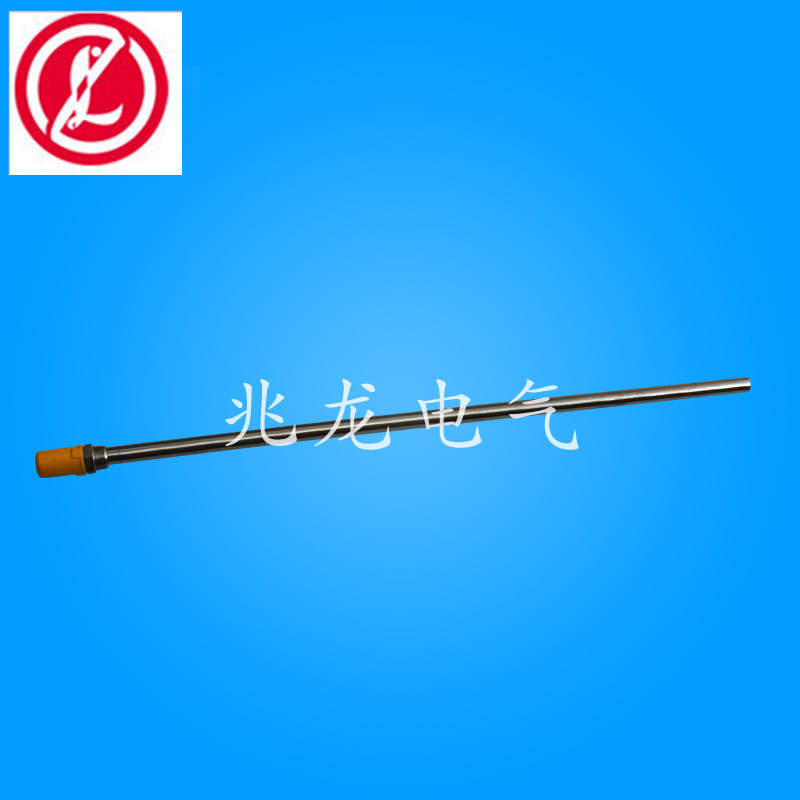 带保护管电热管FLSM3
