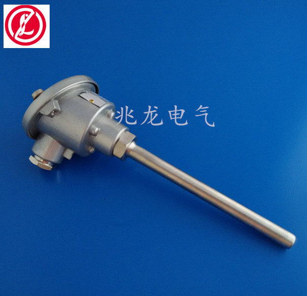 WRN-130装配式热电偶