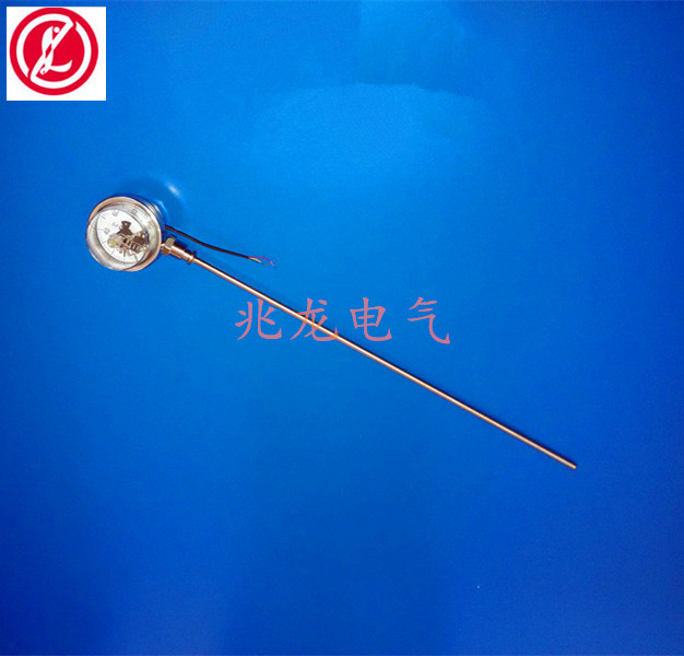 WSSX-313隔爆式双金属温度计