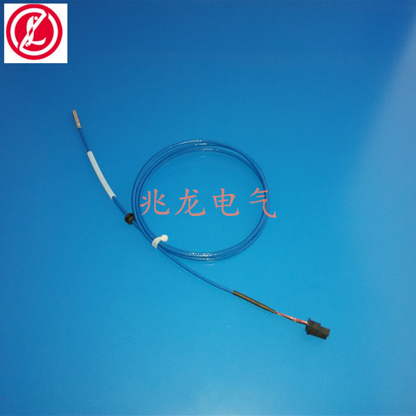 WRNF-035防腐热电偶